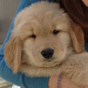 Meet your Posher, Juliana